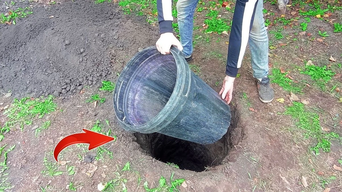 Nigdy nie uwierzysz, jak po tanio zrobić lodówkę na działkę – trik ogrodnika z sąsiedztwa