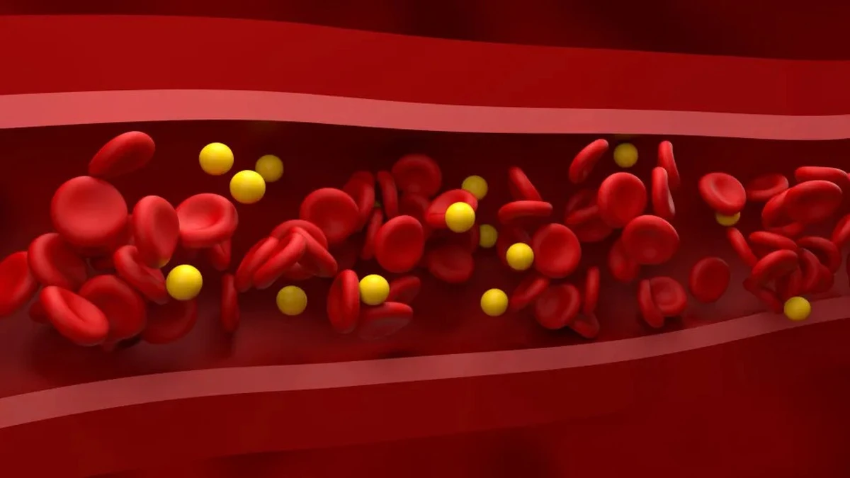 4 produkty, które obniżają "zły" cholesterol i chronią Twoje serce