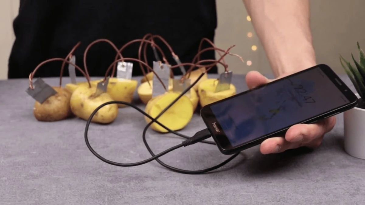 Dlaczego sąsiad spojrzał na mnie jak na wariata, gdy ładowałem telefon... ziemniakami?