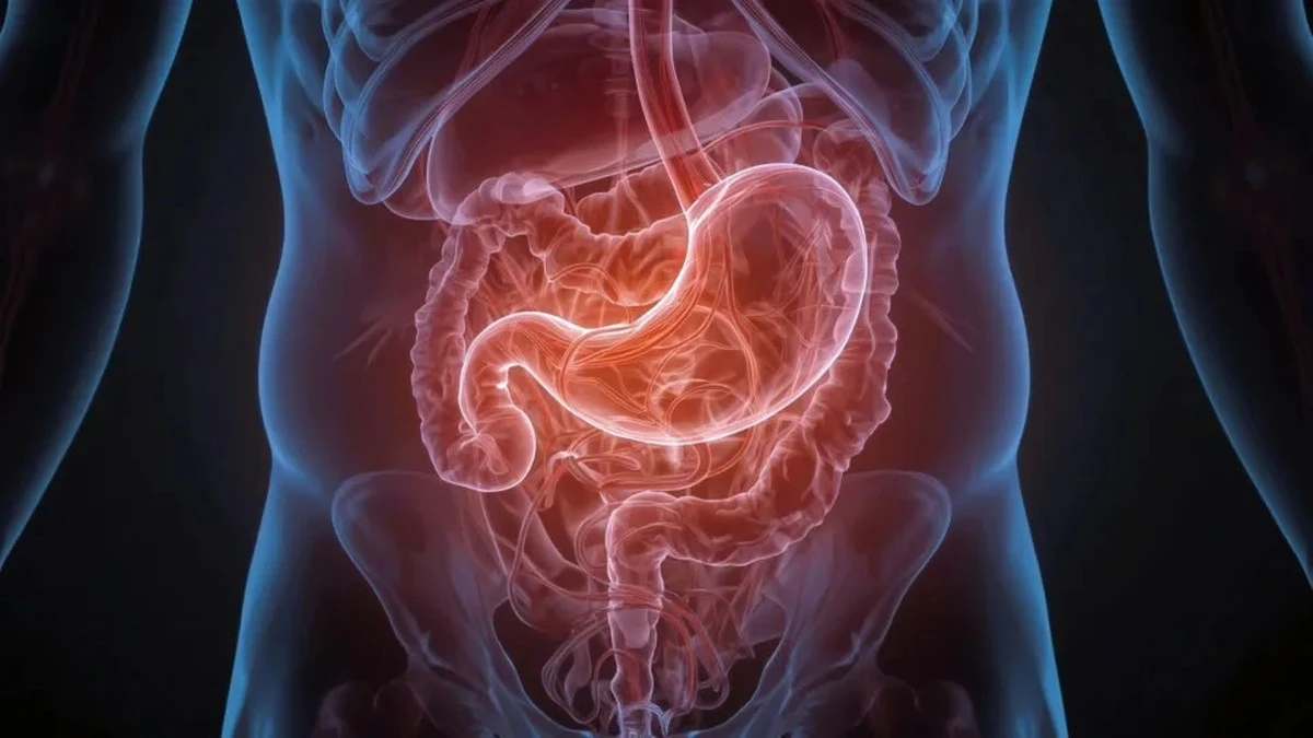 5 owoców z pestką, które odmienią Twój metabolizm (i nie tylko!)