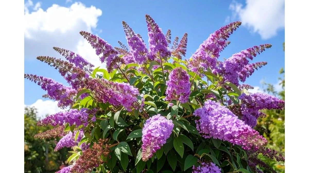 Ten krzew posadzony w lutym uczyni Twój ogród rajem dla pszczół i motyli