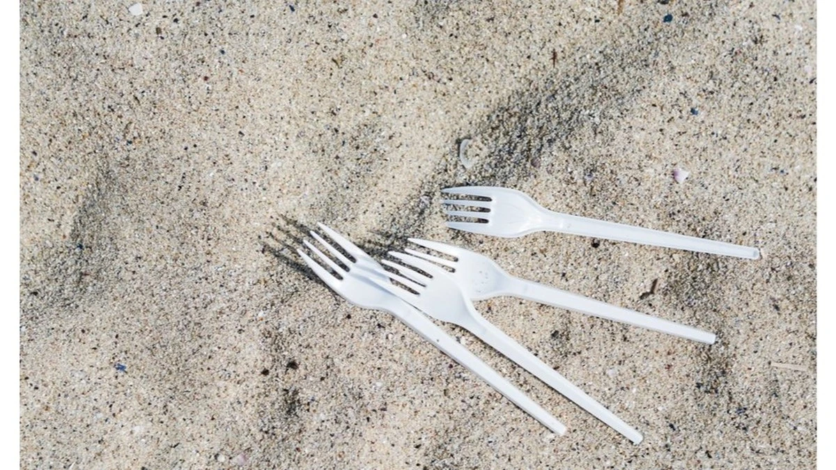 Dlaczego sąsiad zbierał plastikowe widelczyki ze śmietnika? Gdy wyjawił sekret, następnego dnia zrobiłem to samo