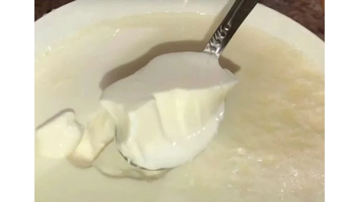 Dlaczego ten jogurt jest najbezpieczniejszym wyborem? Stoi w każdej Biedronce, a ty go unikasz