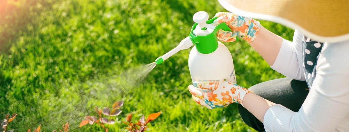 domowesposobyna-extra-1.webp Domowe sposoby na mszyce i przędziorki: jak uratować plony bez chemii - image 1