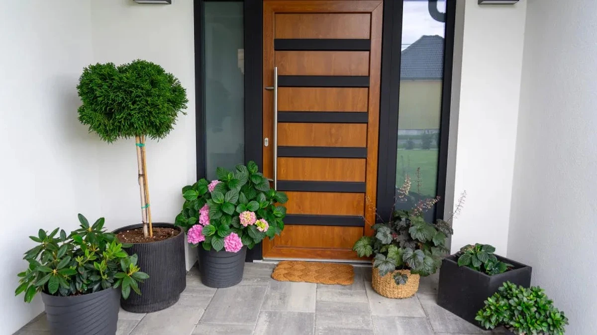 Rośliny, które przyciągną dobrą energię do Twojego domu. Ekspertka Feng Shui zdradza sekrety