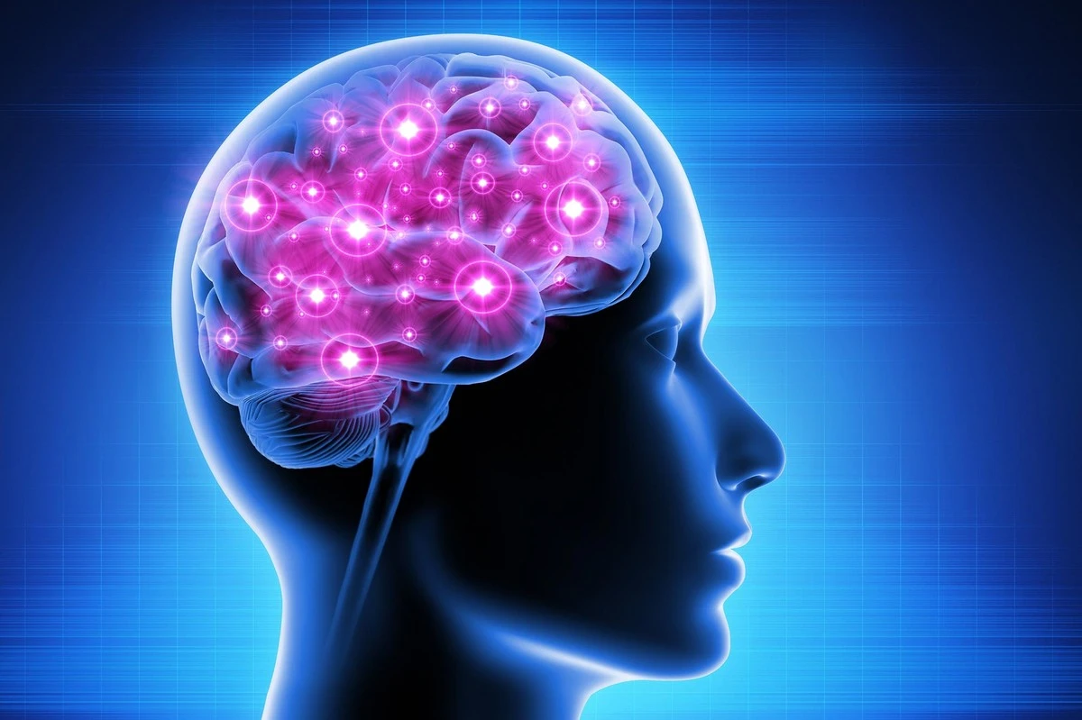 Mój neurolog powiedział coś, czego nie spodziewałem się usłyszeć – i ten prosty eliksir odmienił moje trzy tygodnie - image 1