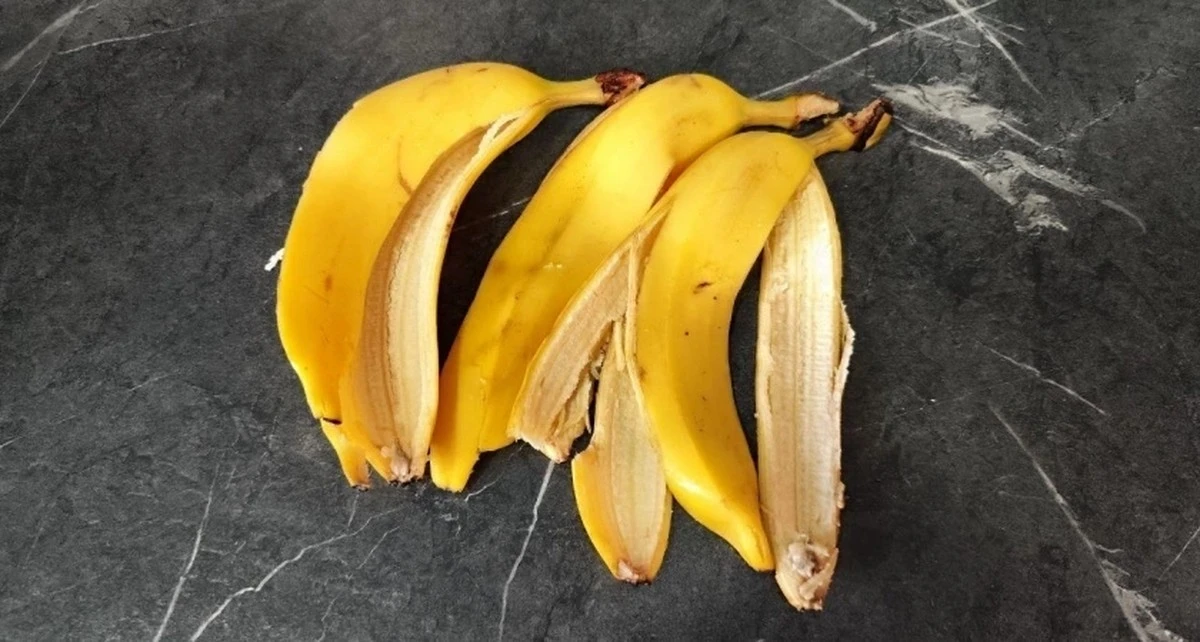 Zimowa mądrość babci: sól i skórka od banana zrobią cuda w Twoim ogrodzie
