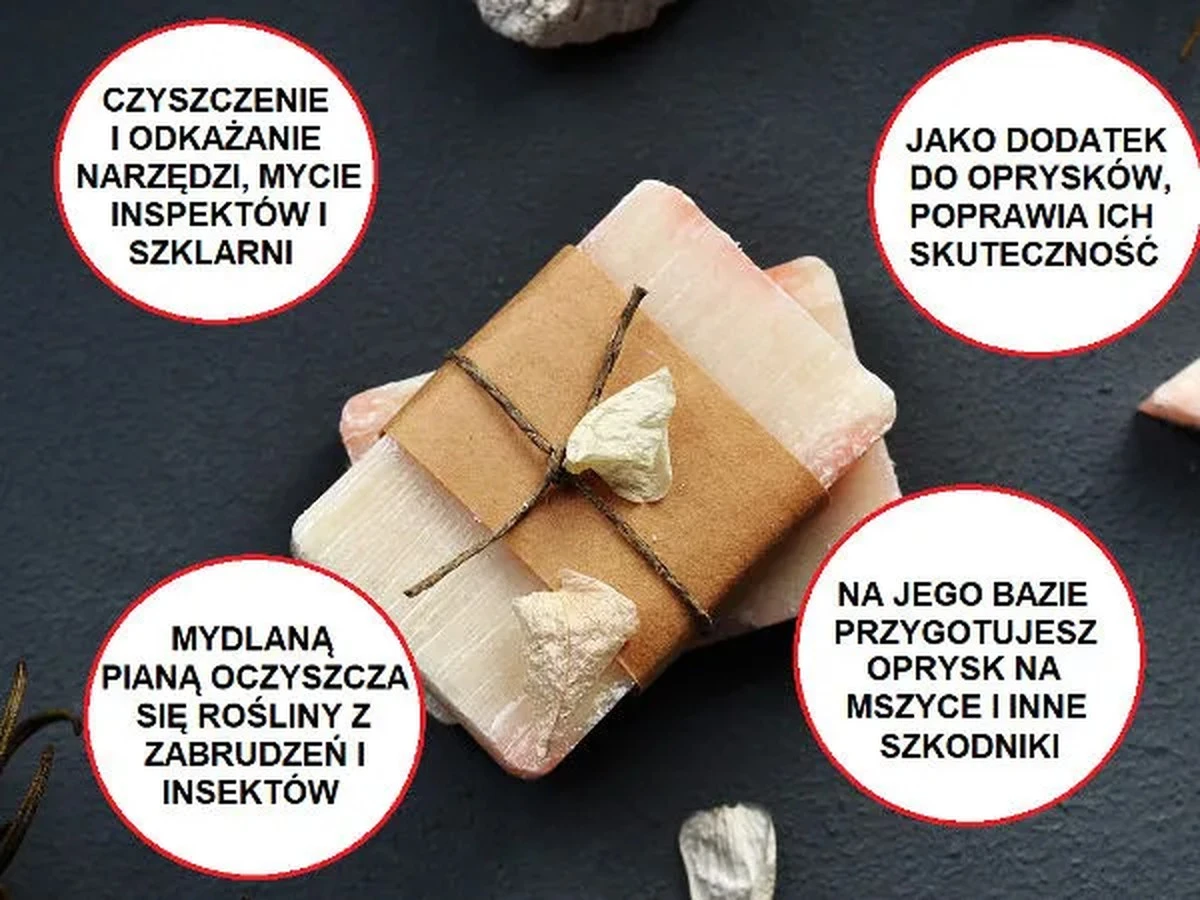 5zaskakujacychs-extra-1.webp 5 zaskakujących sposobów na wykorzystanie resztek mydła – zamień je w