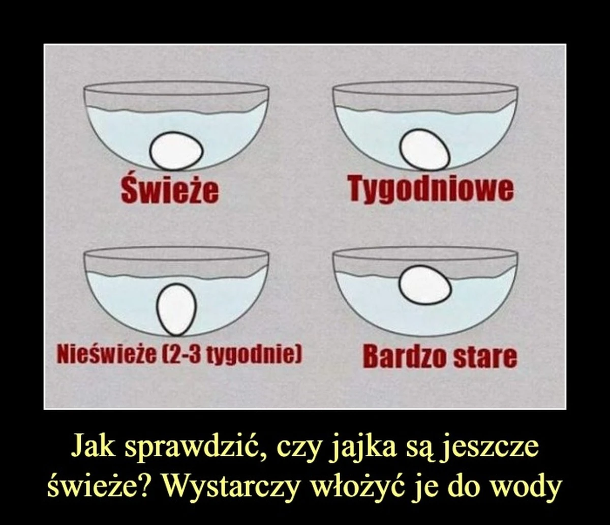 jajkamajadatewa-extra-1.webp Jajka mają datę ważności? Prosty test wodny pokaże Ci, czy są zepsute - image 1
