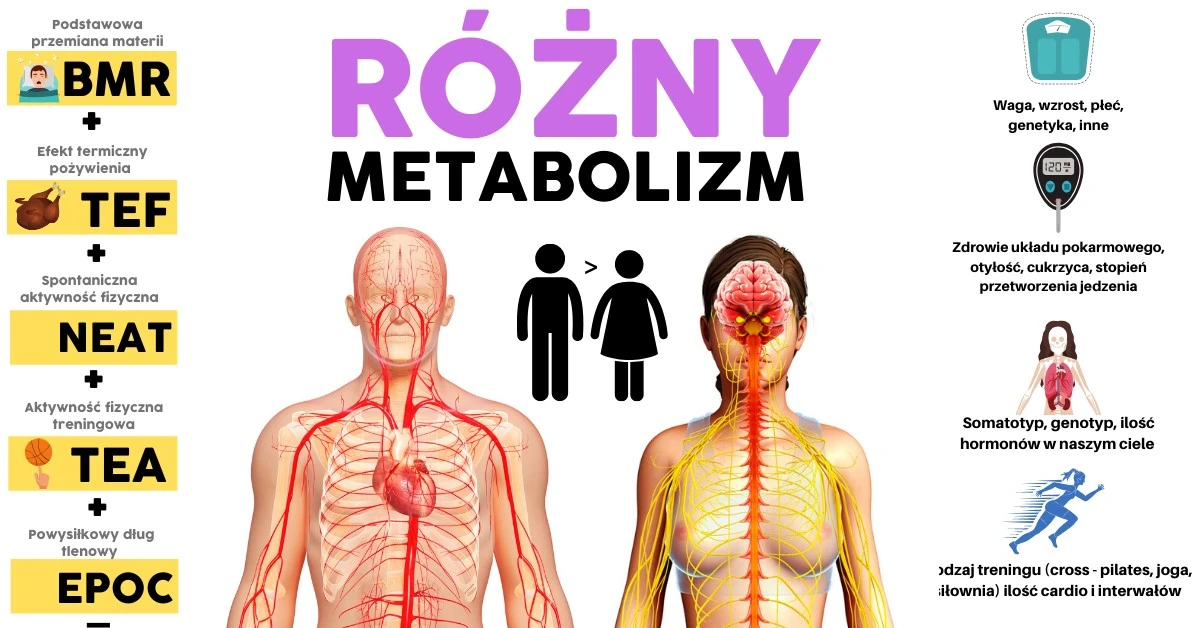 siedemsygnaowze-extra-1.webp Siedem sygnałów, że Twój metabolizm szwankuje – co mówi Ci ciało? - image 1
